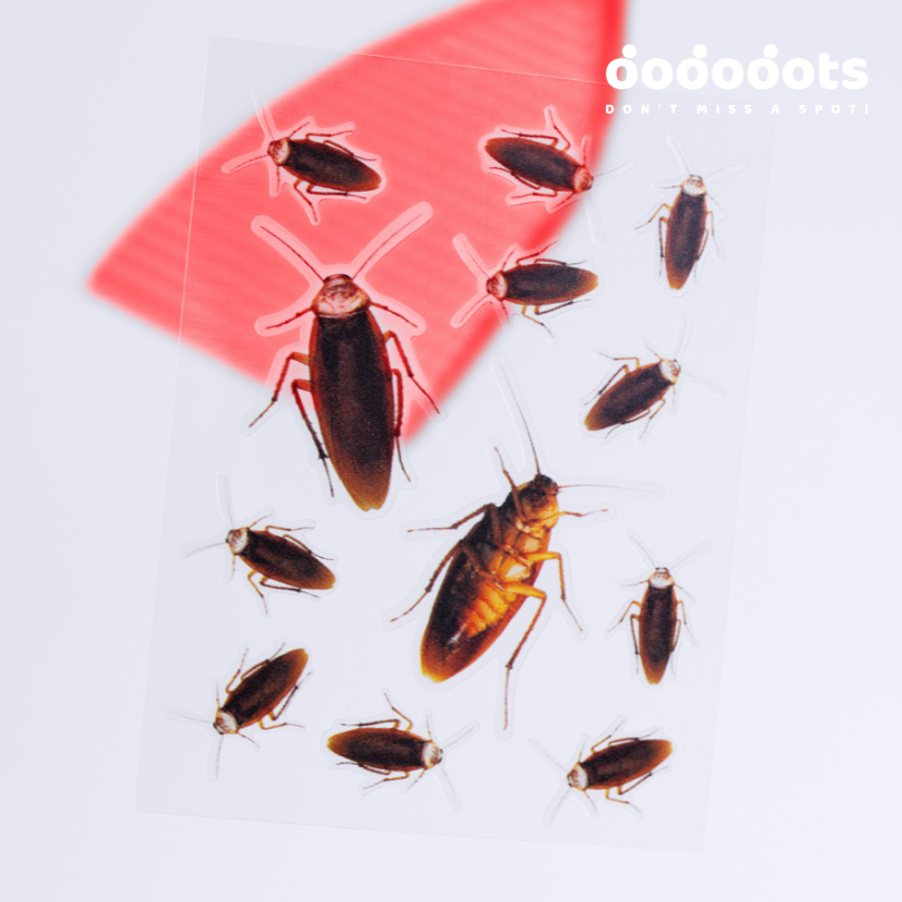 YOUR EX - image 8