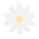Pure Petals