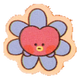 BT21 minini & minini fl…